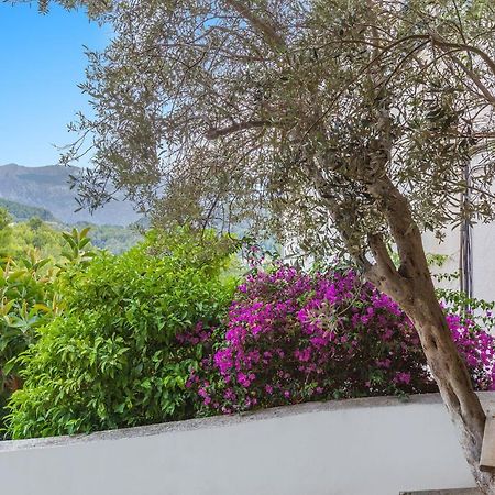 Appartamento Bellavista 22 Puerto de Sóller Esterno foto